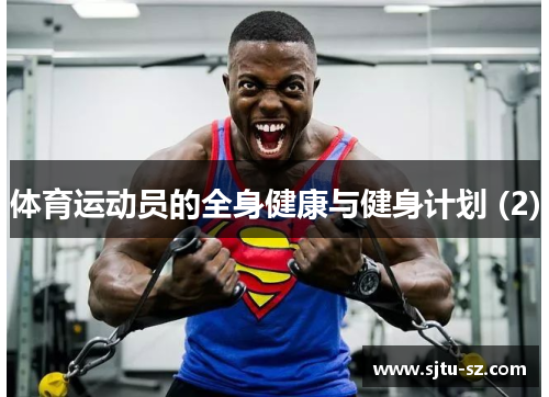 体育运动员的全身健康与健身计划 (2)