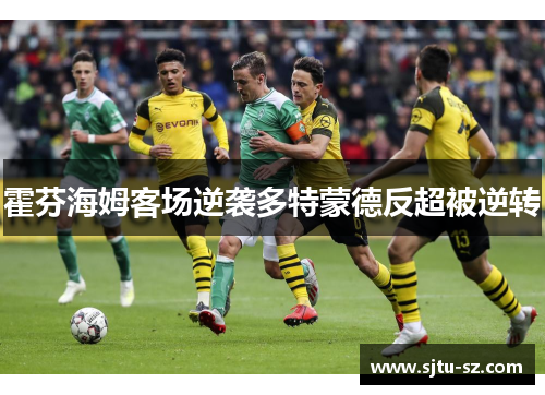 霍芬海姆客场逆袭多特蒙德反超被逆转
