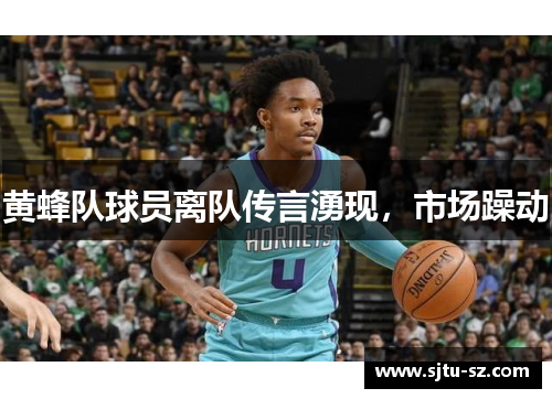 黄蜂队球员离队传言湧现，市场躁动